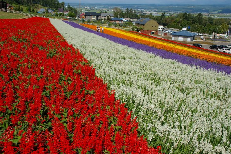 Nakafurano Flower Park