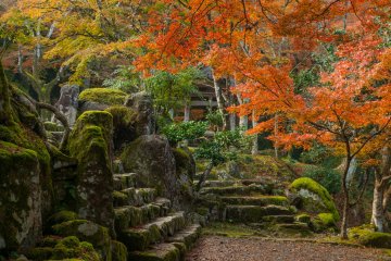 Mossy stone steps in front of Hojo. It looks like no one has ever set foot on it.
