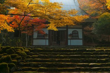 This is Buddha shrine of the central building of the main temple.