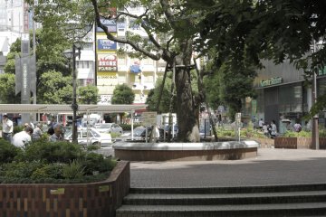 A small areas is available outside to rest in the shade before or after shopping