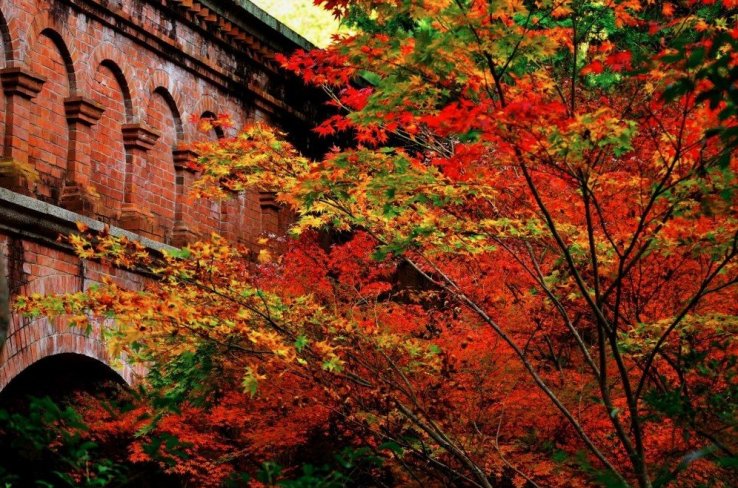 Nanzen-ji's famous brick arches