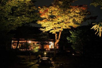 The autumn illumination creates a different world than that of day