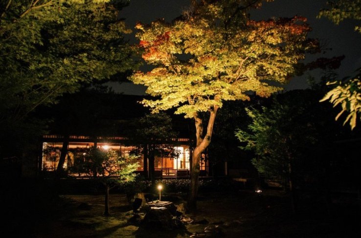 The autumn illumination creates a different world than that of day