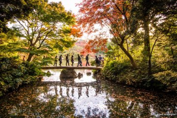 Rikugien Garden