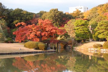 Rikugien Garden