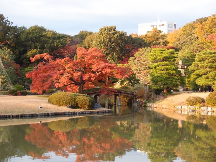Rikugien Garden