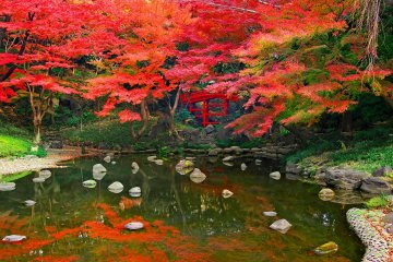 Koishikawa Korakuen Garden
