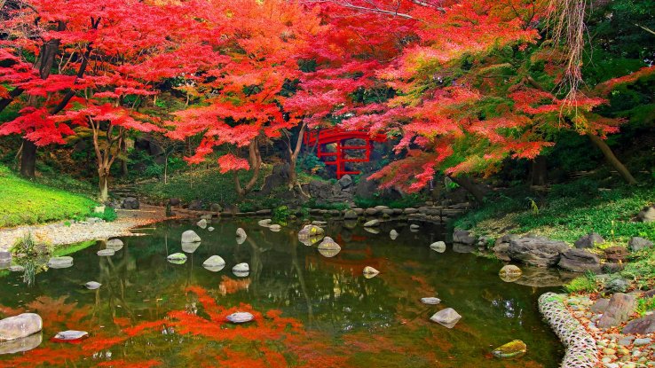 Koishikawa Korakuen Garden