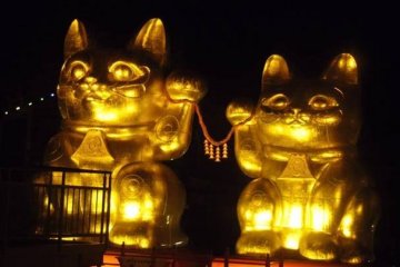 <p>The lucky cats are keeping an eye on the visitors</p>