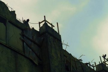The birds were laughing at the poor, boiling people, waiting to enter the horror house.