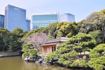 Chuo City Ward - Parks & Gardens
