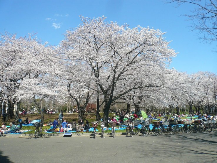 Shinozaki Park