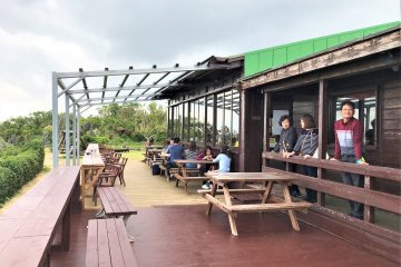 Curcuma cafe