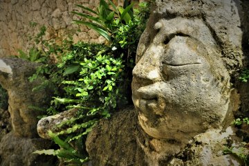 The ancient wisdom of our founding families are lovingly nurtured on the east coast of Okinawa.