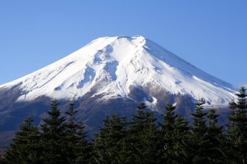 One theme of the art on display centers around Mt. Fuji