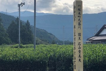 The commendation post for gifting green tea to the Emperor at the start of the Reiwa Era