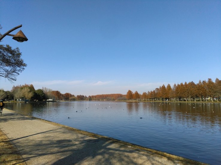Mizumoto Park 