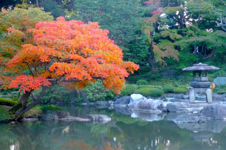 Kyu-Furukawa Teien Garden