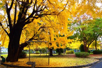 Shiba Park