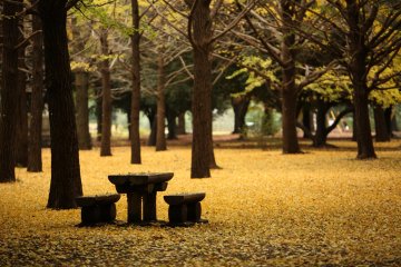 Yoyogi Park