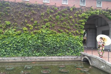 Ivy Square