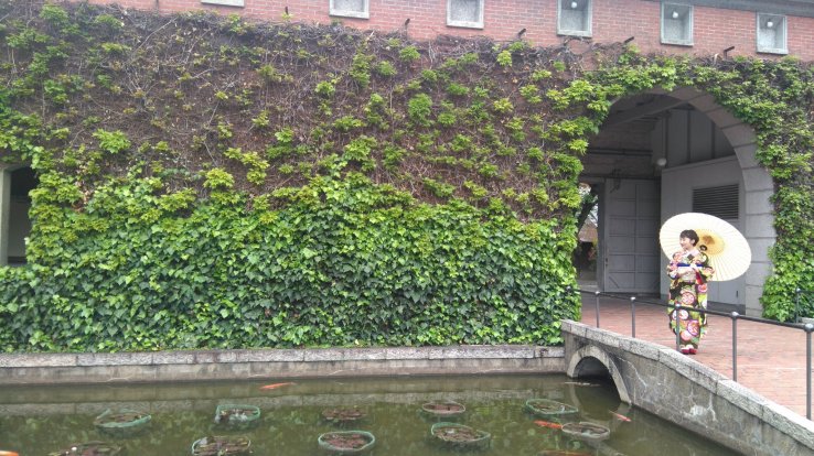 Ivy Square