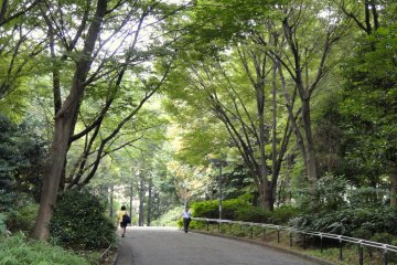 Shinjuku Central Park