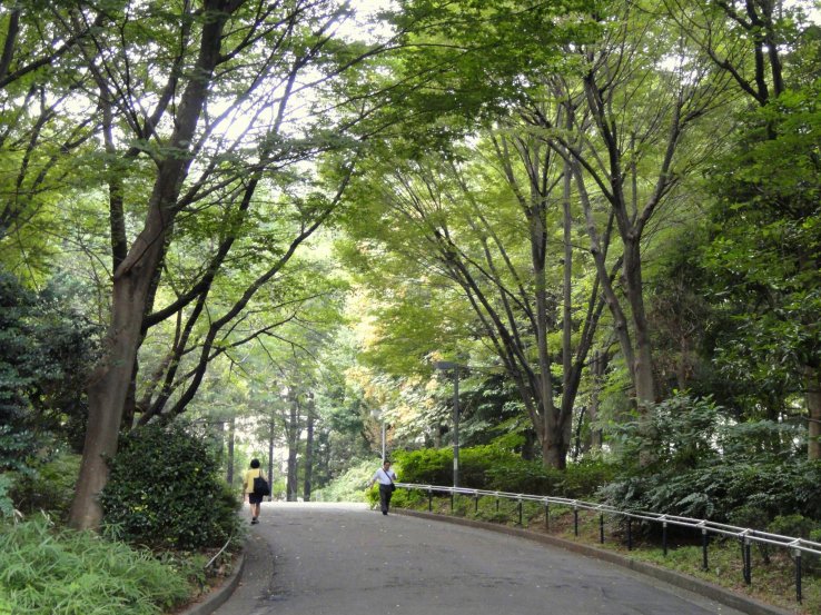 Shinjuku Central Park