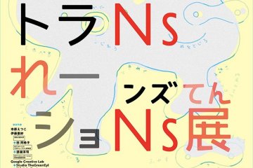 Translations: Understanding Misunderstanding 2020-2021