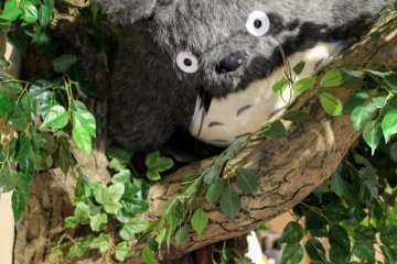 Totoro plush toy at Donguri Republic