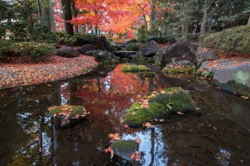 Suginami City Ward - Parks & Gardens