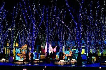 Blessing Forest Illumination 2026-2027