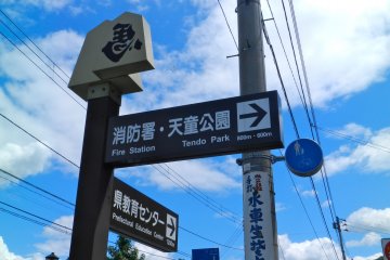 Shogi pieces point the way.