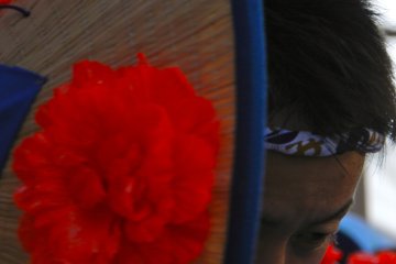 Sheltering behind a hat.