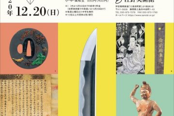 Japanese Swords Collection 2020