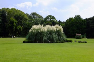 Chofu City - Parks & Gardens