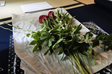 The flowers used for my ikebana arrangement