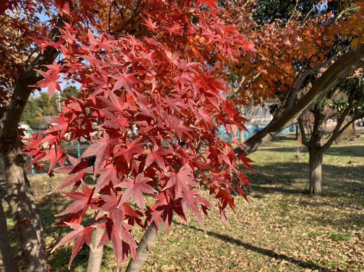 Rokusen Park