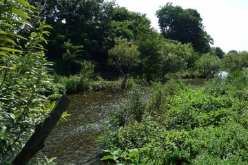 Ochiai River, close to Hakusan Park