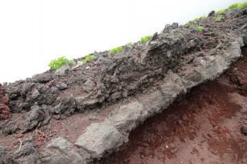 The steep and stony Fujinomiya Trail