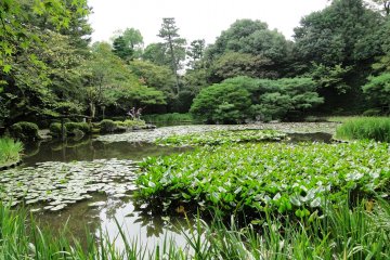 A sweeping view of one of the Shin'en garden sections
