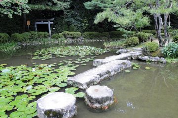 A path through the water