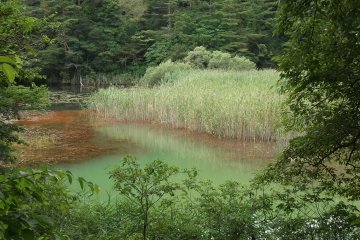 One of the lakes at Goshiki Numa