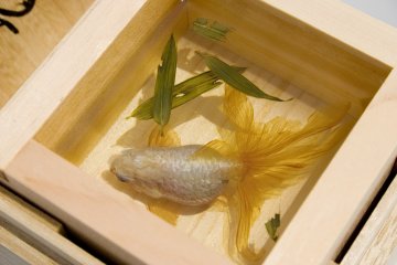 Riusuke Fukahori Exhibition 2021