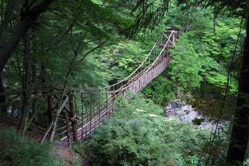 Kazurabashi Bridge is made of vines and reinforced by steel cables 