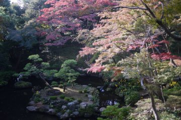 Tonogayato Garden