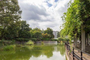 Musashi Kokubunji Park