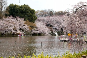 Mitaka City - Parks & Gardens
