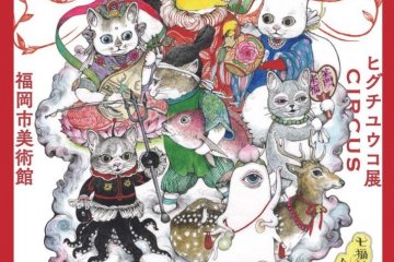 Yuko Higuchi: Circus 2020-2021