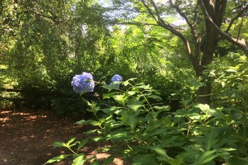 Nishitokyo City - Parks & Gardens